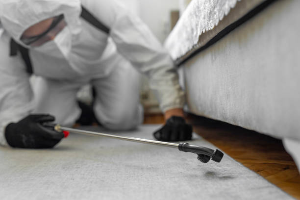 Professional Ant Control technician working in Luck, WI