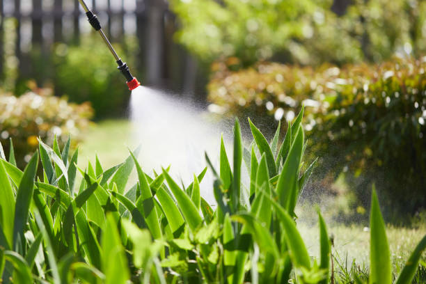 24/7 Emergency Ant Control experts in Luck, WI