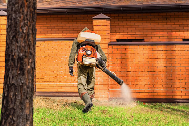 Top rated local Ant Control specialists in Luck, WI